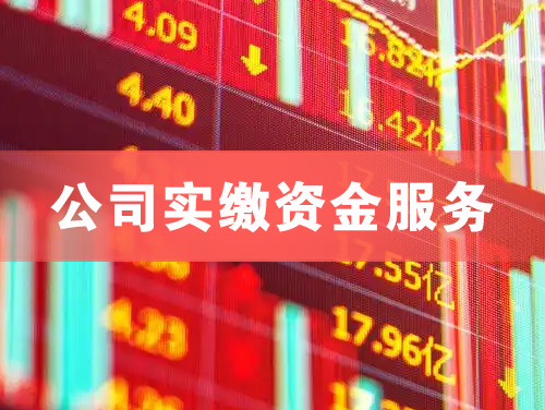 启东公司实缴资金服务